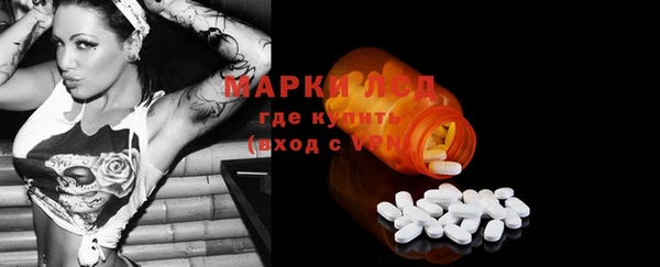 стаф Алексин