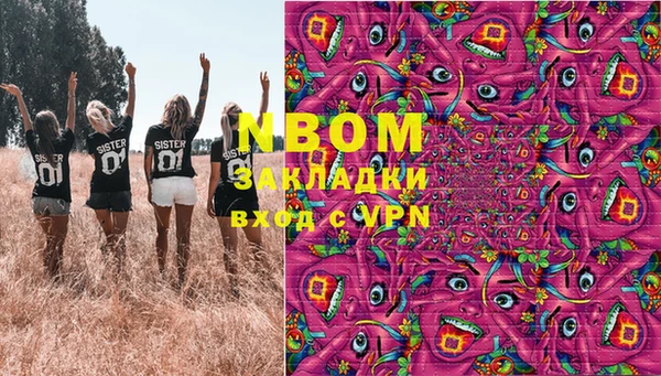 сатива Алзамай